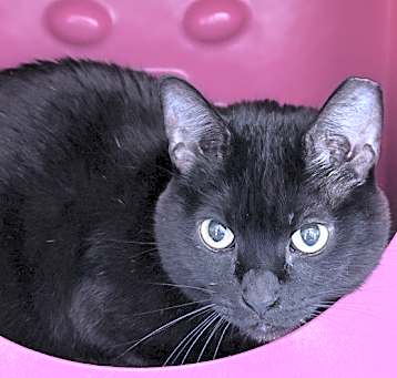 Photo of Titi