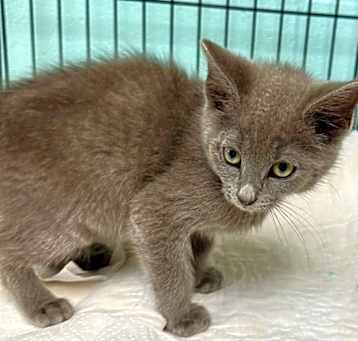 Photo of Sprout