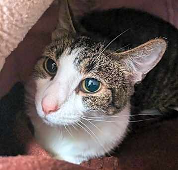 Photo of Bell