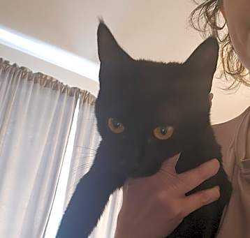 Photo of Bean