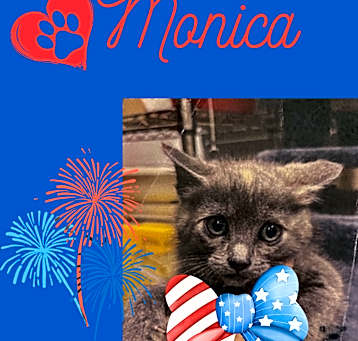 Photo of Monica