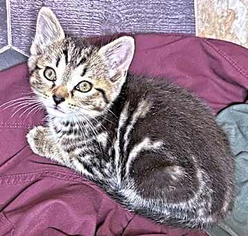 Photo of Miss Marple