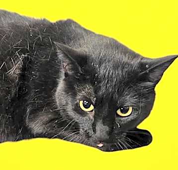 Photo of Gilly