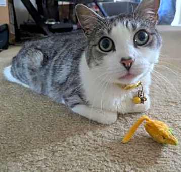 Photo of Wyatt