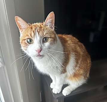 Photo of Luca