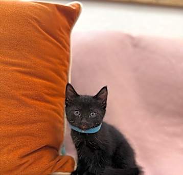 Photo of Storm Grey