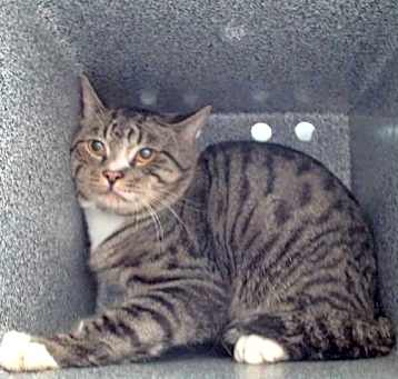 Photo of A571989