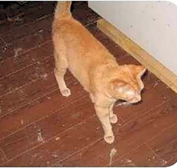 Photo of Marlo