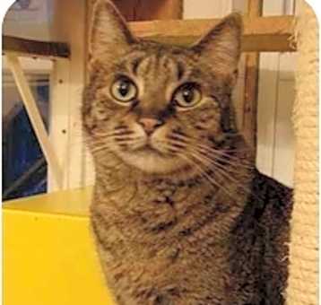 Photo of Charlie