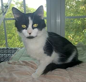 Photo of Grace