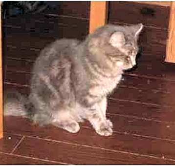 Photo of Princess