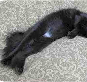 Photo of Zora