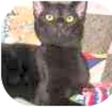 Photo of Denzell