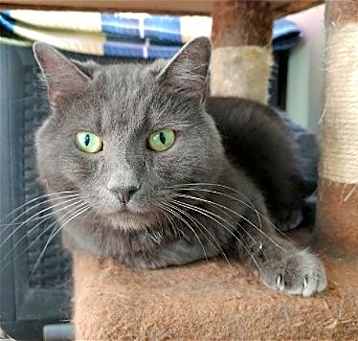 Photo of Toby