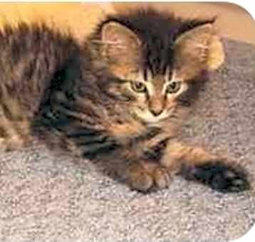 Photo of Allie