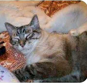 Photo of Seymour