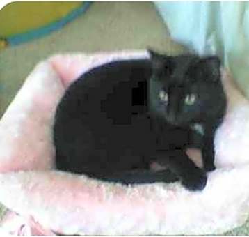 Photo of LuLu