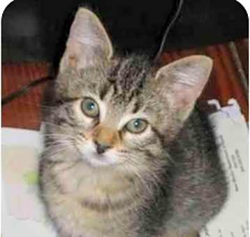 Photo of Zoe
