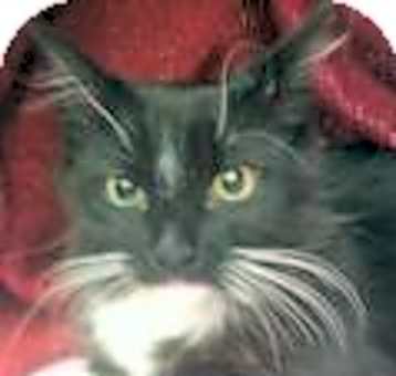 Photo of Janie