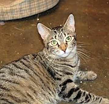 Photo of Seuss