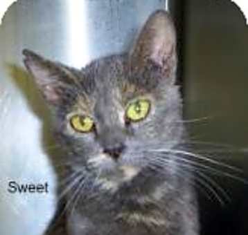 Photo of Juliette, SF, 185