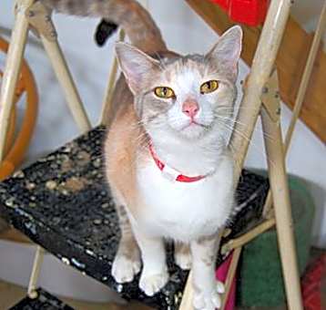 Photo of Patty