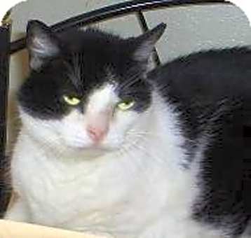 Photo of Esmeralda