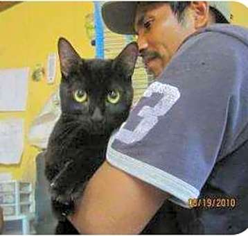 Photo of spook