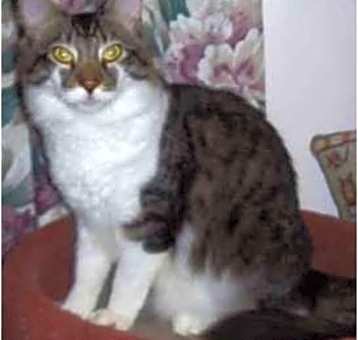 Photo of Trevor