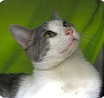 Photo of Miles (9798)