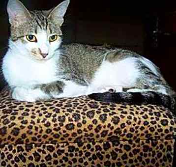 Photo of Lexi