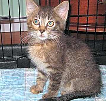 Photo of Tufts