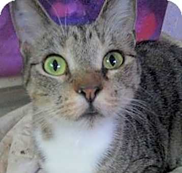 Photo of Macy