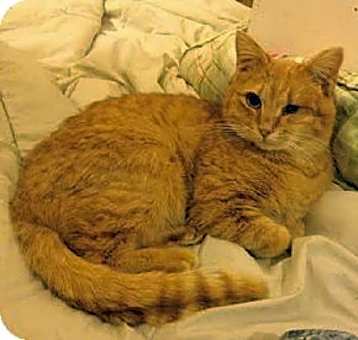 Photo of Lucky