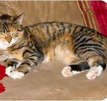 Photo of Lucy