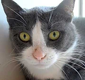 Photo of Tootsie