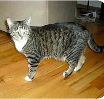 Photo of Sneaky pooh