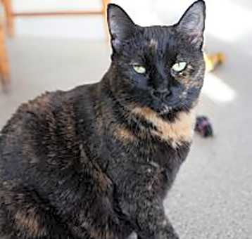 Photo of Hallie