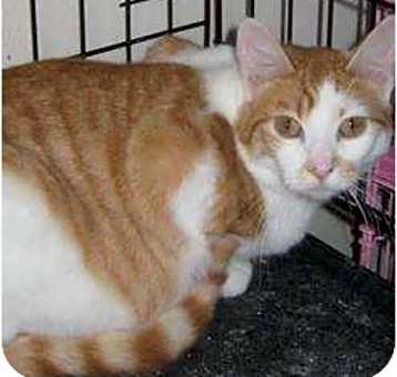 Photo of Quincy