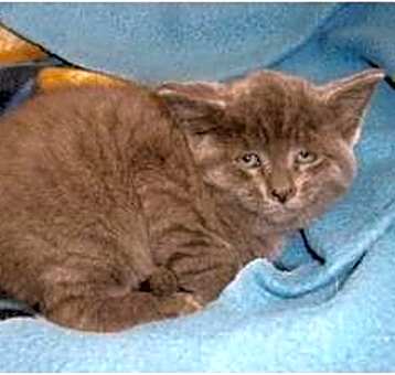 Photo of Pippy