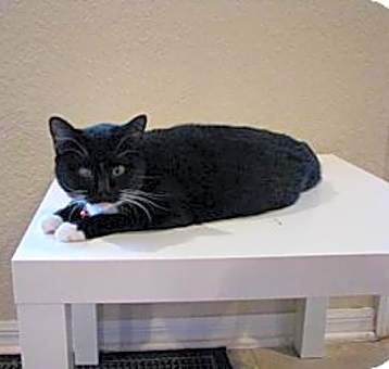 Photo of Sally