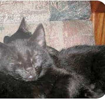 Photo of Brody
