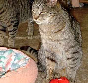Photo of Momma