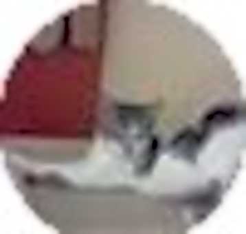 Photo of Darla