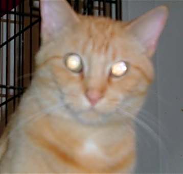 Photo of Jake