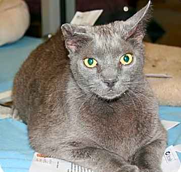 Photo of Heath