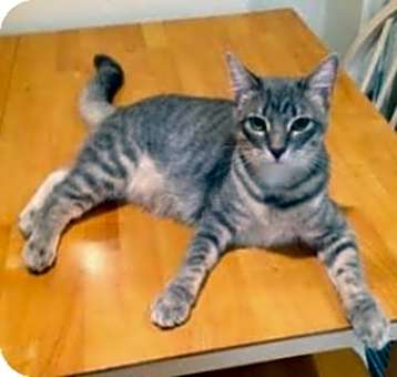 Photo of Tina