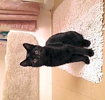 Photo of jet
