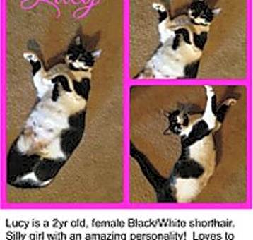 Photo of Lucy
