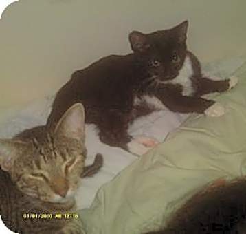 Photo of Star